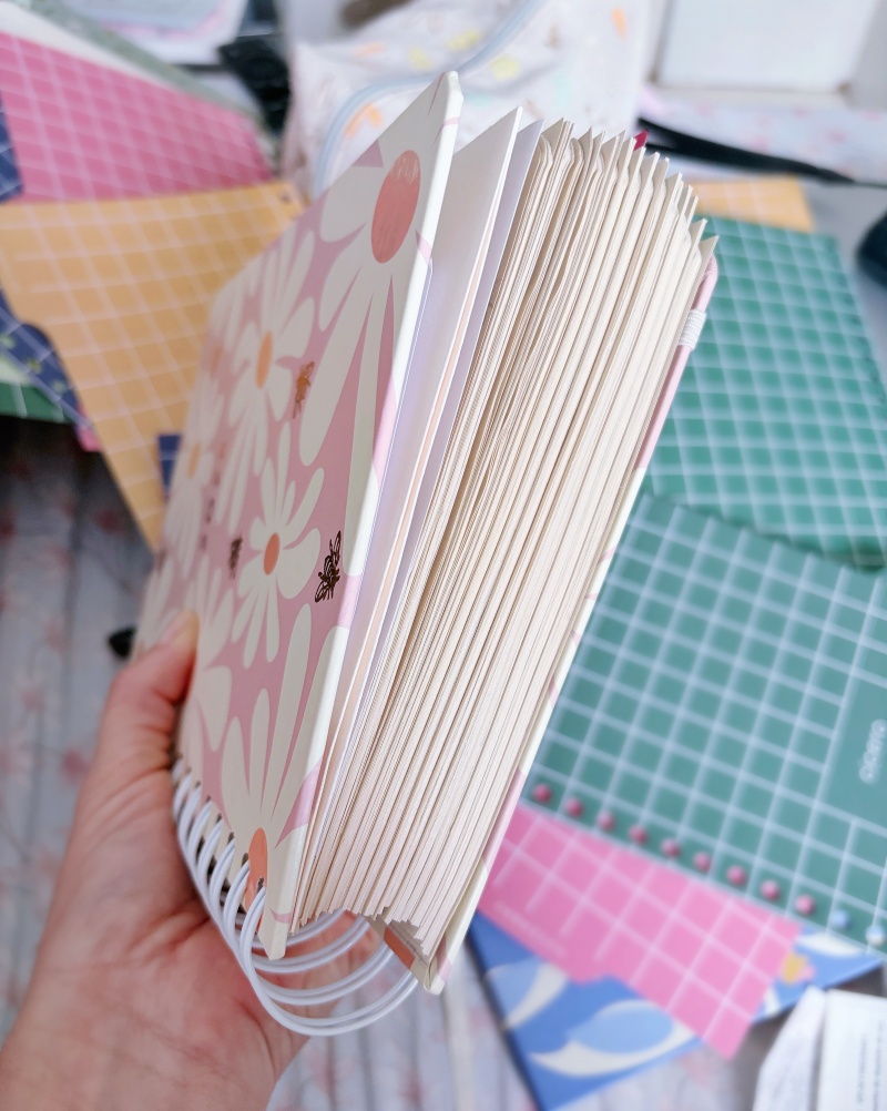 Juntando meu planner semanal com a agenda diária da Cicero Papelaria | blog Camilando - por Camile Carvalho, do Vida Minimalista