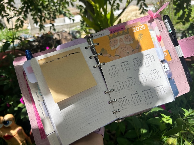 Planner da Camile Carvalho - Blog Camilando